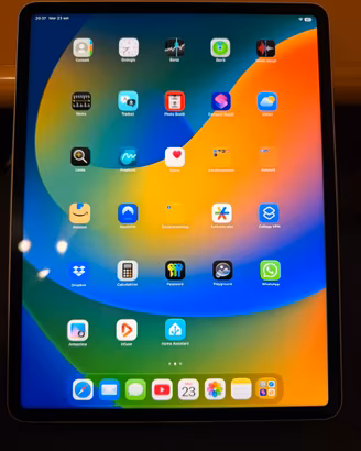 IPad Pro 12,9’ M2 + custodia + pencil
