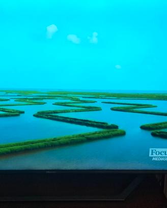 Tv hisense 50 pollici