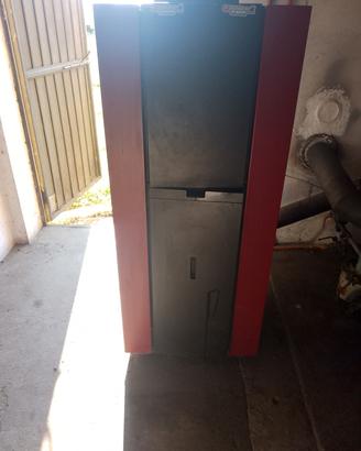caldaia a pellet palazzetti 