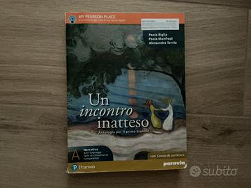 Un incontro inatteso - narrativa ed epica