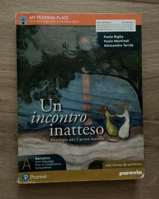 Un incontro inatteso - narrativa ed epica
