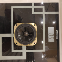 Kef FOSTEX sp 1404 mid range