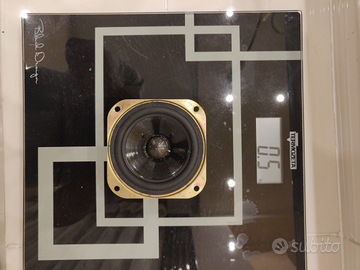 Kef FOSTEX sp 1404 mid range