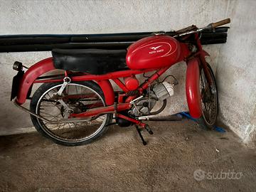 Moto guzzi Cardellino 75
