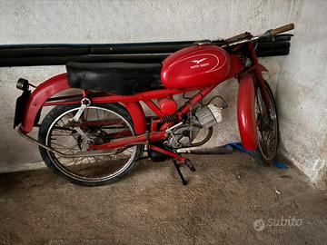Moto guzzi Cardellino 75