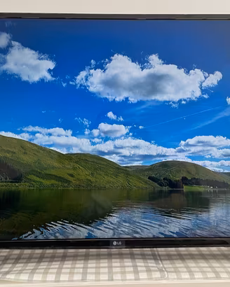 TV Televisore LG 49 Pollici