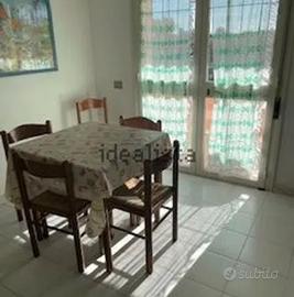 Pula Appartamento arredato 700e mensili