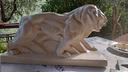 grande-leone-peugeot-ceramica-bianca-craquele-