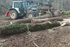 Trattore Lamborghini formula 115 forestale