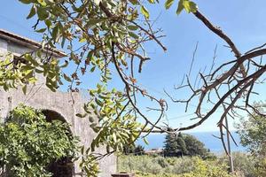 Rustico / Casale di 339 m² con più di 5 locali a G