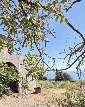 Rustico / Casale di 339 m² con più di 5 locali a G