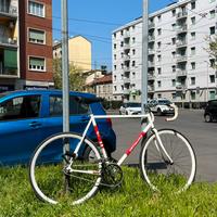 Specialized langster steel scatto fisso