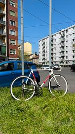 Specialized langster steel scatto fisso