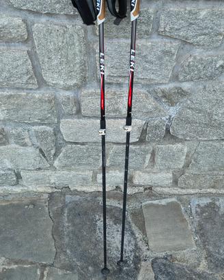 bastoncini leki 