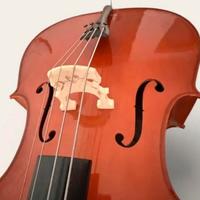 Violino 4/4 con custodia