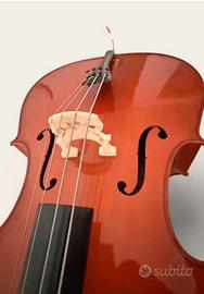 Violino 4/4 con custodia