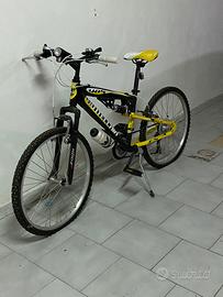 Mountain bike