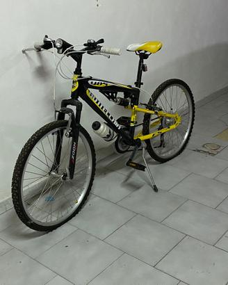 Mountain bike