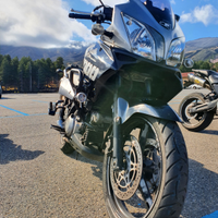 Suzuki v-strom dl 1000