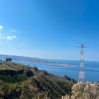 Terreno uliveto e alberi da frutto