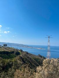 Terreno uliveto e alberi da frutto