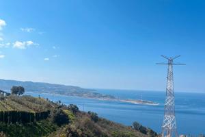 Terreno uliveto e alberi da frutto