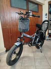 fatbike 1000 watt batteria 48 