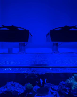Radion XR30 G6 pro - ECOTECH MARINE