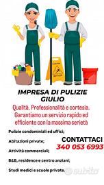 Impresa di pulizie