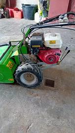 Trinciaerba Lampacrescia TTR783