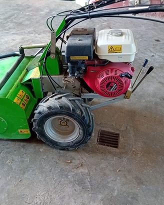 Trinciaerba Lampacrescia TTR783