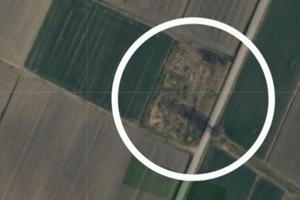 Terreno agricolo Ceneselli (RO)