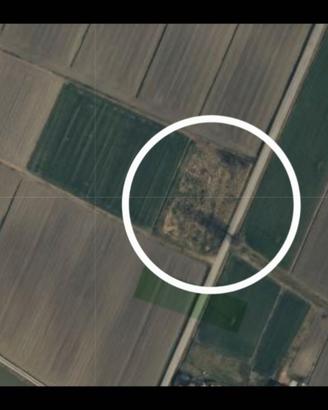 Terreno agricolo Ceneselli (RO)
