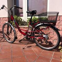 Bici elettrica