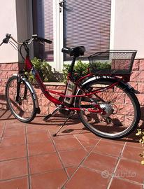 Bici elettrica