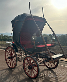 Cavallo carrozza