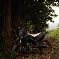 Hm 50 (86)