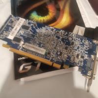 scheda video gigabyte ninvidia hd4350 ddr2