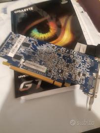 scheda video gigabyte ninvidia hd4350 ddr2