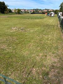 TERRENO NON EDIFICABILE - 4.000 mq