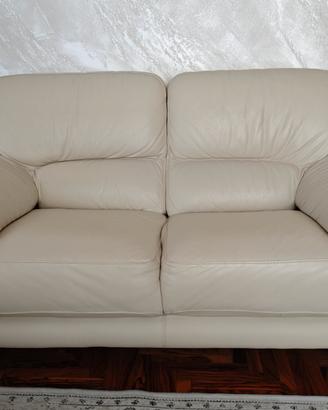 Coppia divani 2 posti in pelle