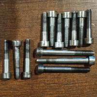 Carter Minarelli viti