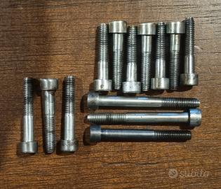 Carter Minarelli viti