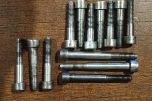 Carter Minarelli viti