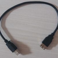 Prolunga 0,3 m USB