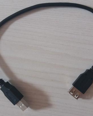 Prolunga 0,3 m USB