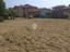 Immagine 7