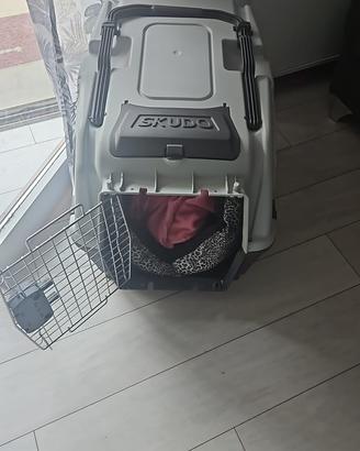kennel