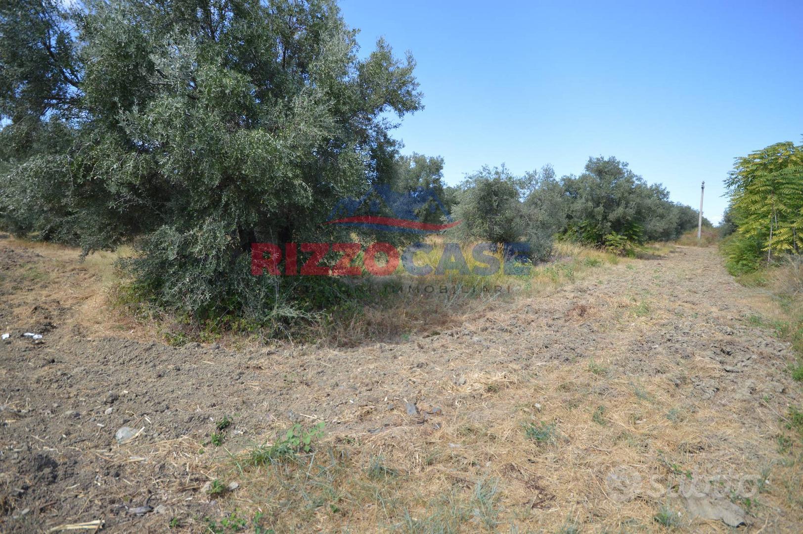 Terreno edificabile - Pietrapaola - Vista 2