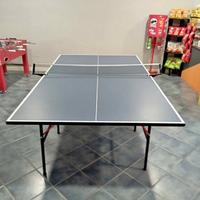 Tavolo ping pong